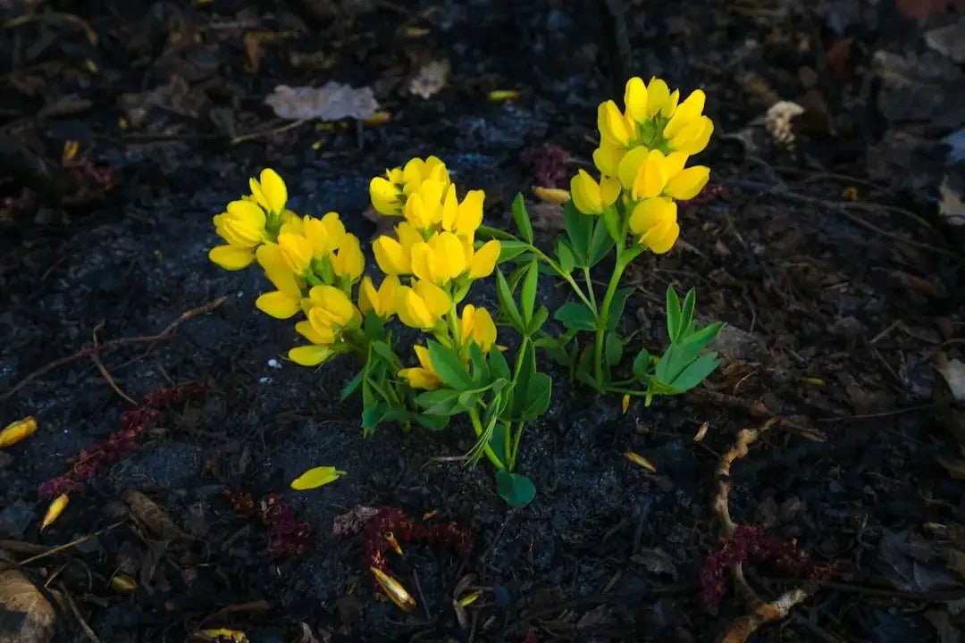 Cultivate resilience in today's Avodah Dynamics – Avodah Dynamics