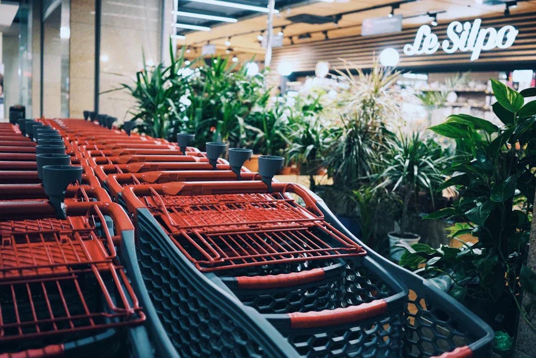 Avodah dynamics e-commerce innovation elevates shopping – Avodah Dynamics