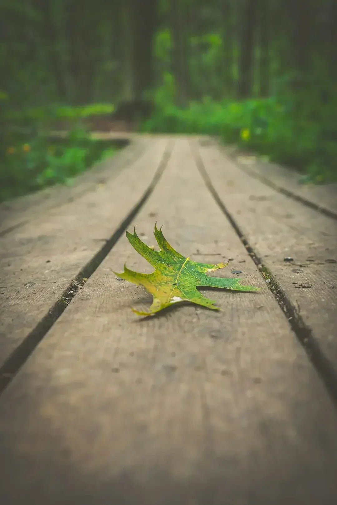 Master Avodah Dynamics: embrace change & transitions – Avodah Dynamics
