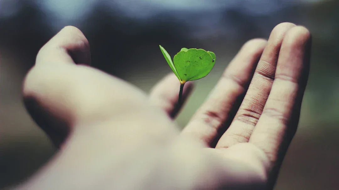 Avodah dynamics growth-oriented culture strategies – Avodah Dynamics