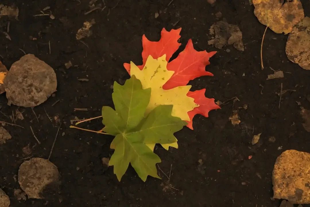 Embrace change: thrive in modern Avodah Dynamics – Avodah Dynamics