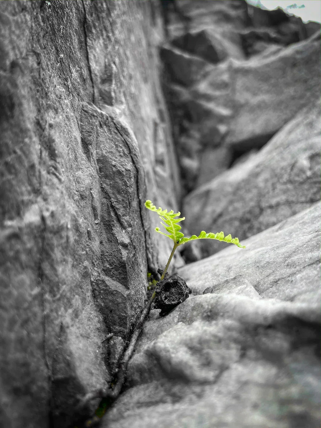 Overcoming challenges with Avodah Dynamics and growth – Avodah Dynamics