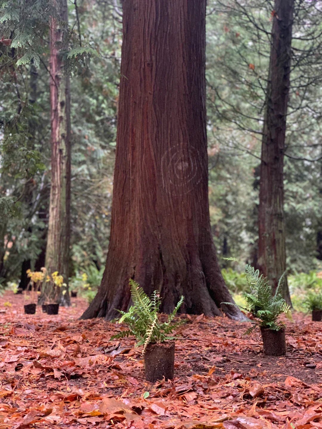 Avodah dynamics building resilience and positive – Avodah Dynamics