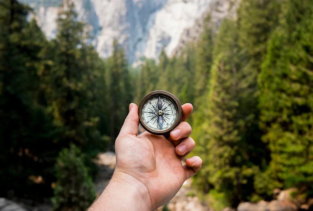Unlock your motivation blueprint with core values – Avodah Dynamics