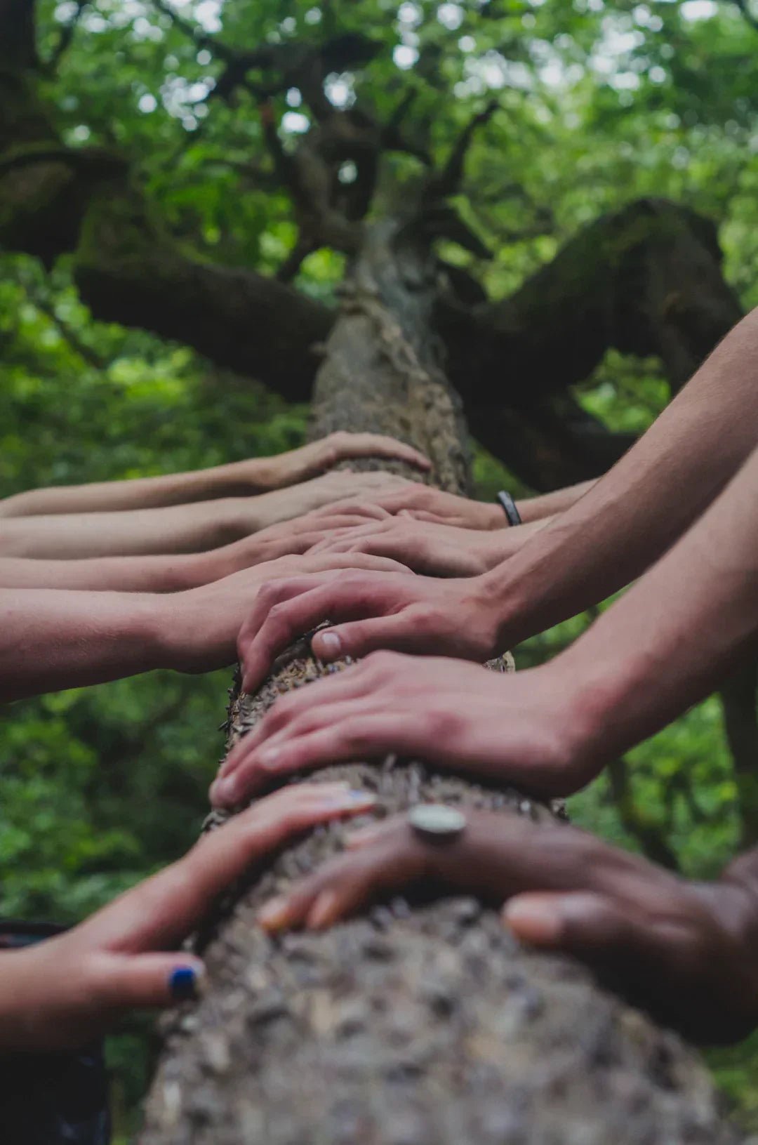 Avodah dynamics community support fuels personal growth – Avodah Dynamics