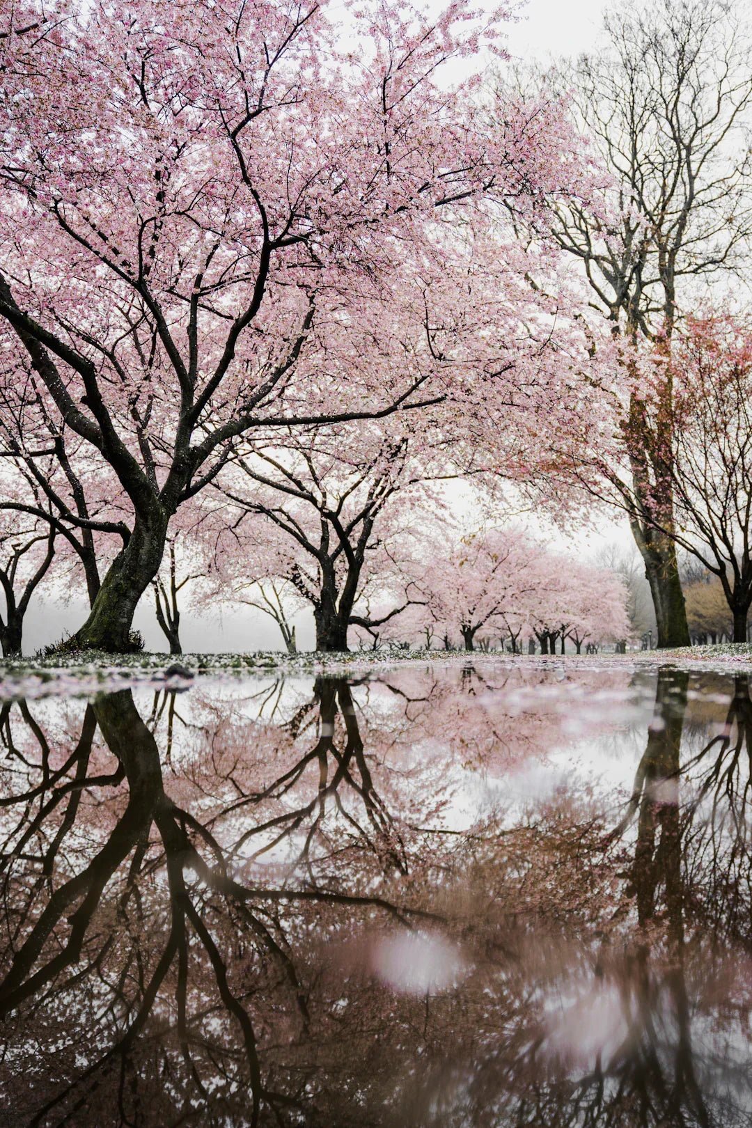 Embrace year-end reflection for personal growth – Avodah Dynamics