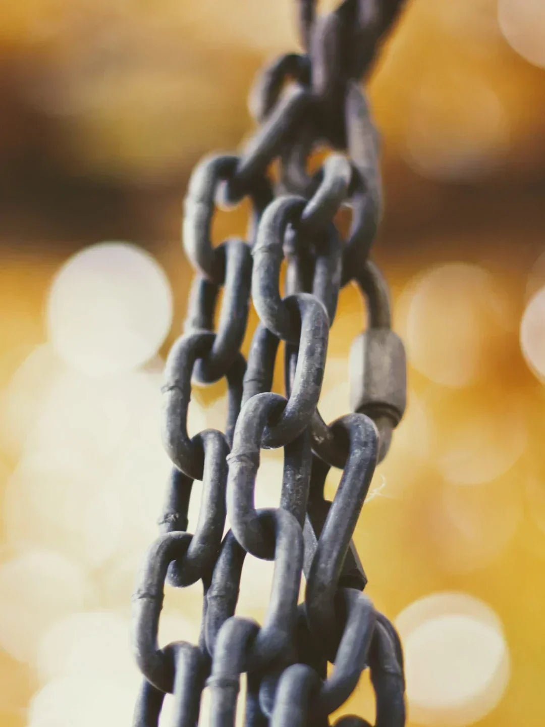 Avodah dynamics ethical supply chain for business – Avodah Dynamics